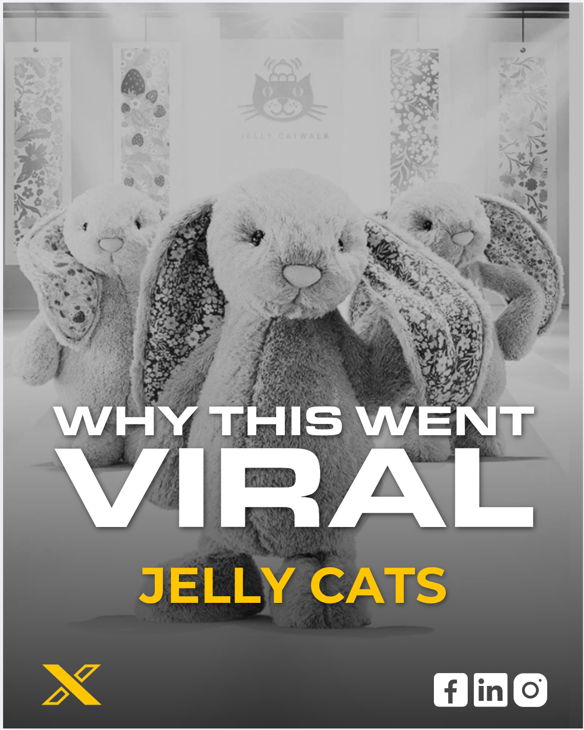 Jelly Cats